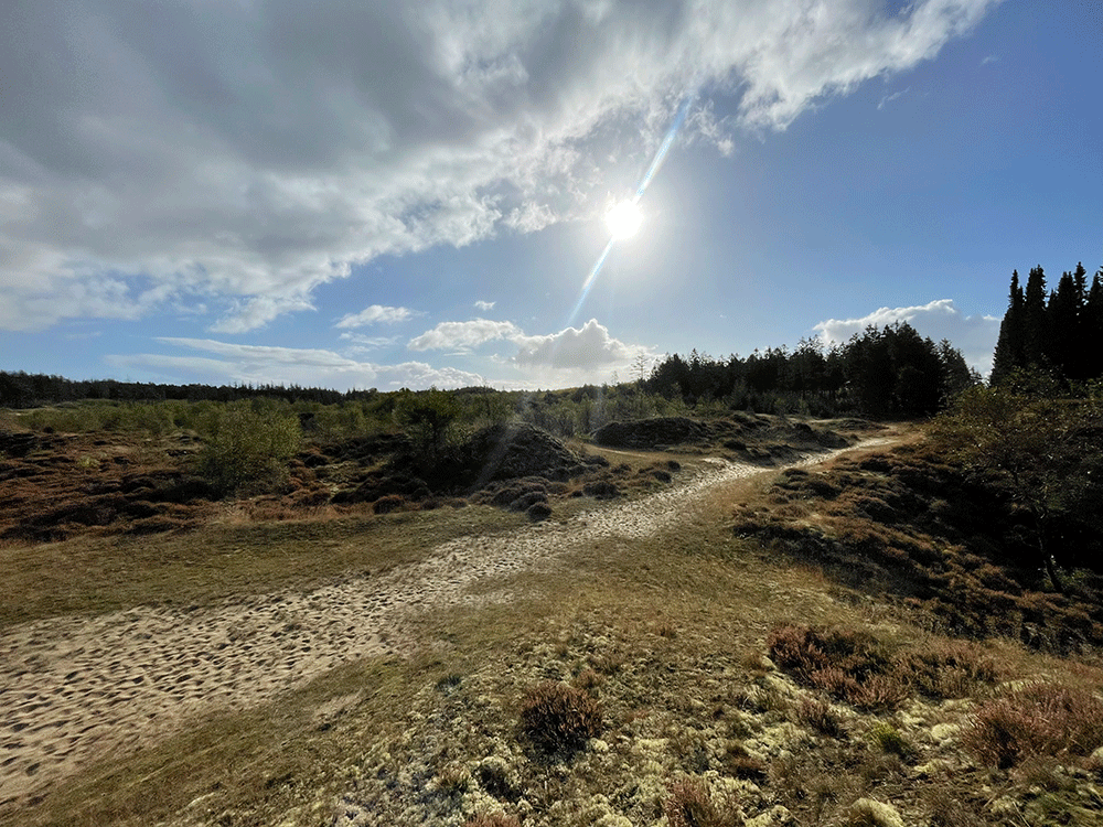 Hedelandskab i Vestjylland