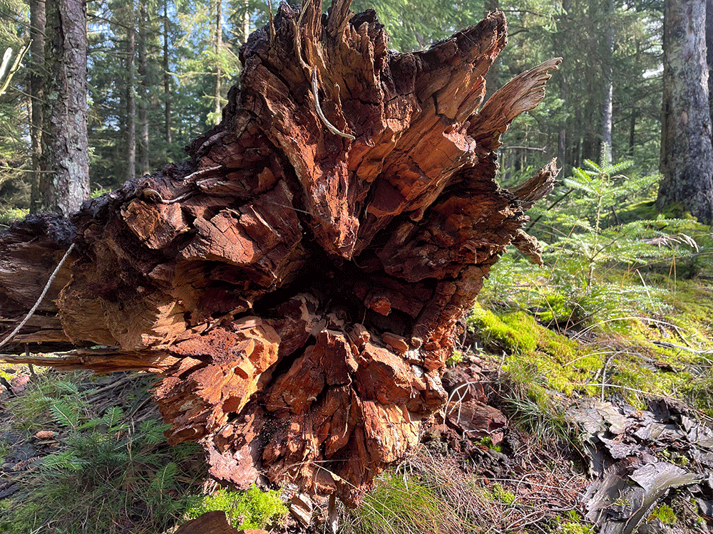 Nationalpark Stråsø