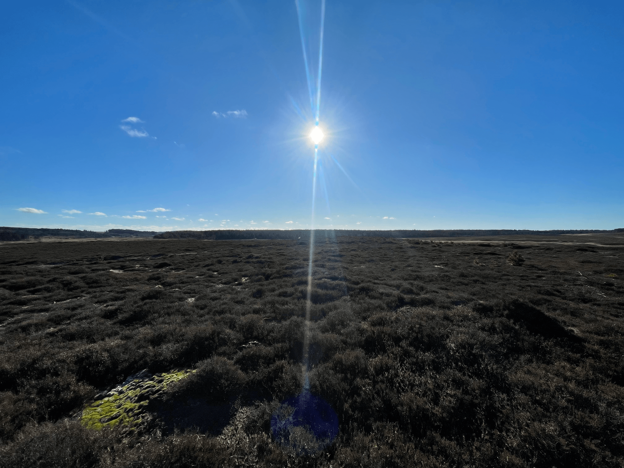 Nationalpark stråsø