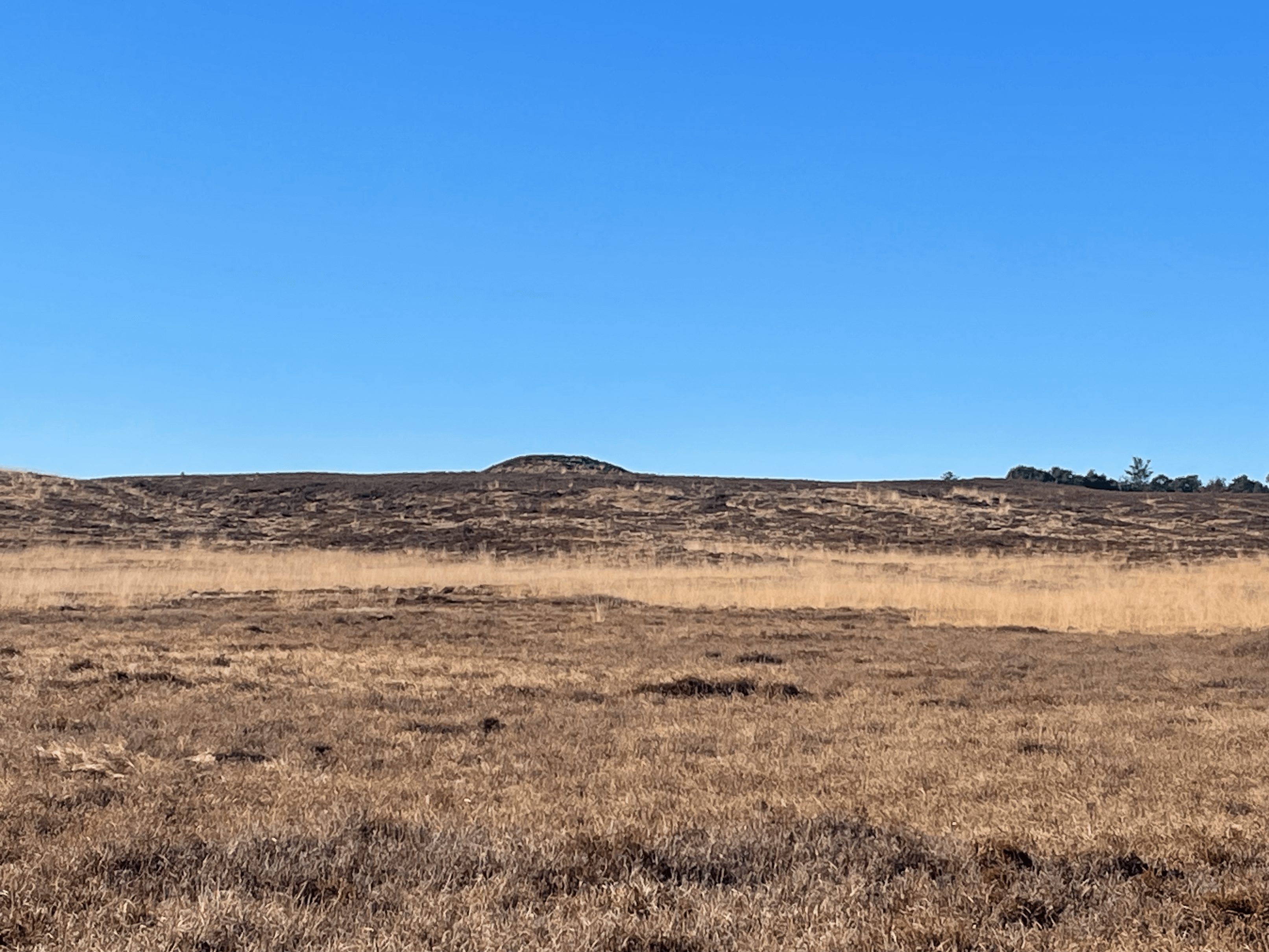 Hedelandskab i nationalpark stråsø
