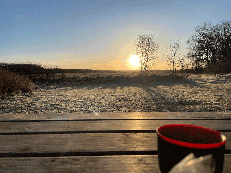 Godmorgen fra shelters i Kronheden
