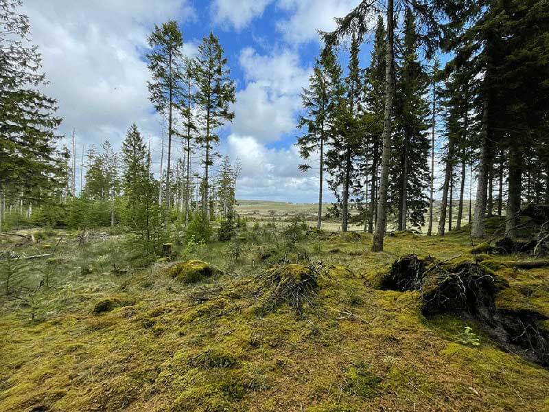 nationalpark stråsø