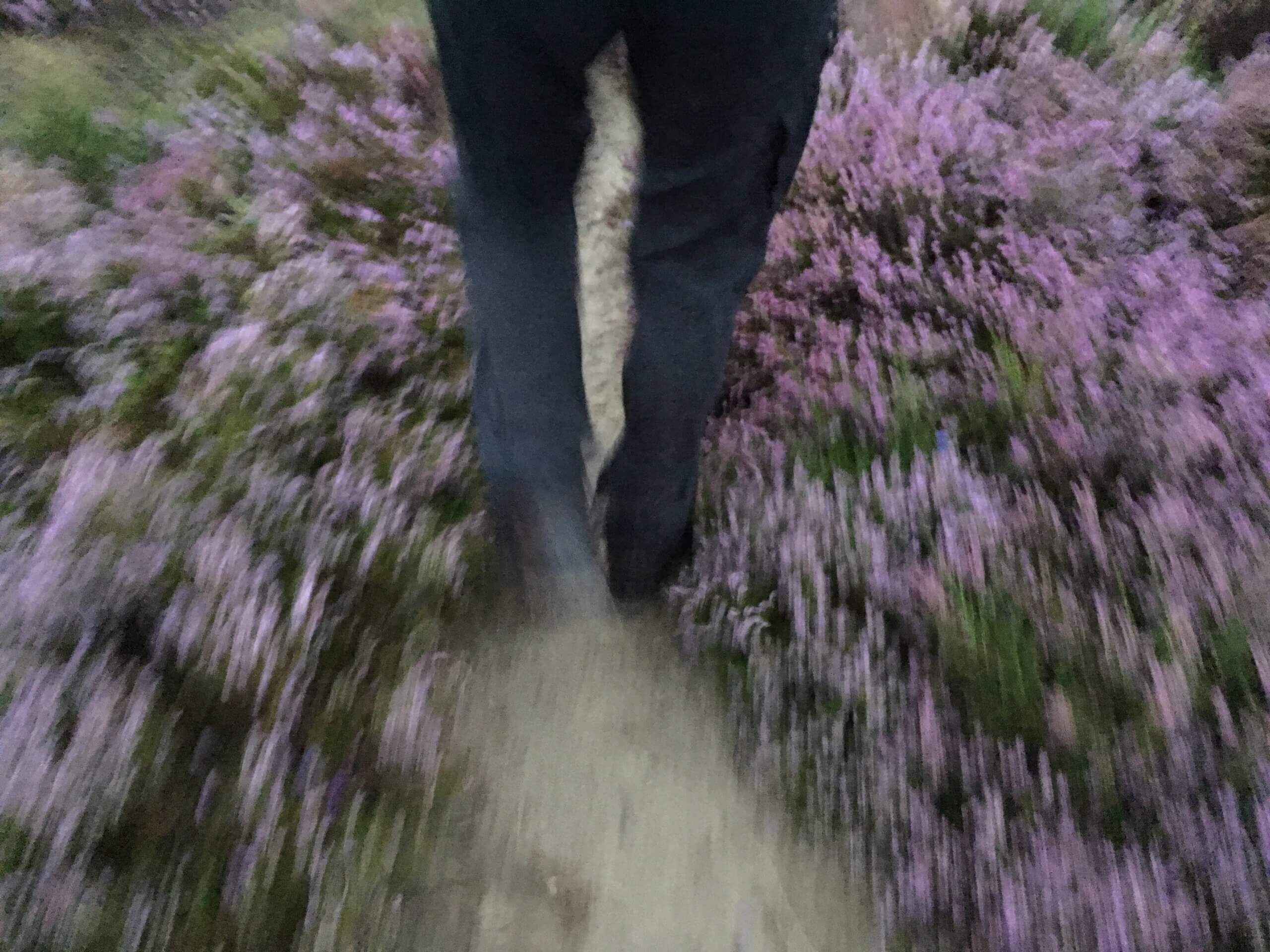 På vandretur i Nationalpark Stråsø